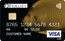 VISA - Gold