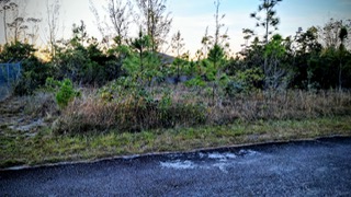 Lot No. 13, Block 3, &ndash; Multi-Family- Vacant Land, Lincoln Green Unit 1 Subdivision, Freeport, Grand Bahama, Bahamas