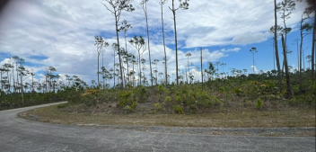 Lot No. 1, Block 8 - Multi-Family - Vacant Land, Shannon Unit 1 Subdivision, Freeport, Grand Bahama, Bahamas