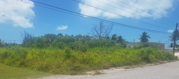 Single Family Vacant Lot
