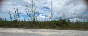 Single Family Vacant Lot