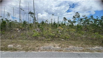 Lot No. 2, Block 4 - Multi-Family - Vacant Land, Chappel Road Bristol Bay Subdivision Unit 1, Freeport, Grand Bahama, Bahamas