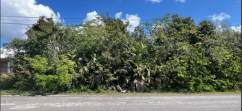 Lot No. 34, Block 30 - Multi- Family - Vacant Land, Bahamia Marina Subdivision, Freeport, Grand Bahama, Bahamas