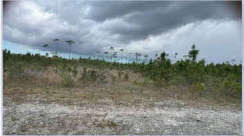 Lot No. 20, Block 21 - Single Family - Vacant Land, Chesapeake Subdivision, Freeport, Grand Bahama, Bahamas