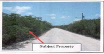 Single Family Vacant Lot