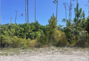Lot No. 279,&ndash; Multi- Family- Vacant Land, Britannia Estates Subdivision, Freeport, Grand Bahama, Bahamas
