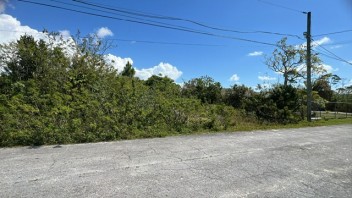 Lot No. 16, Block 13 - Single Family - Vacant Land, Royal Bahamian Estates, Freeport, Grand Bahama, Bahamas